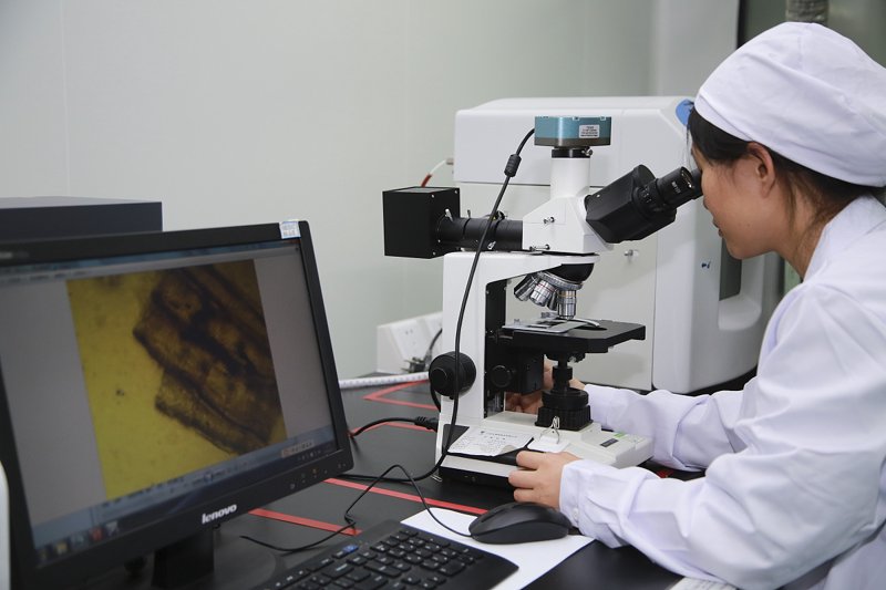 工具推荐类：生物技术研究常用工具解析