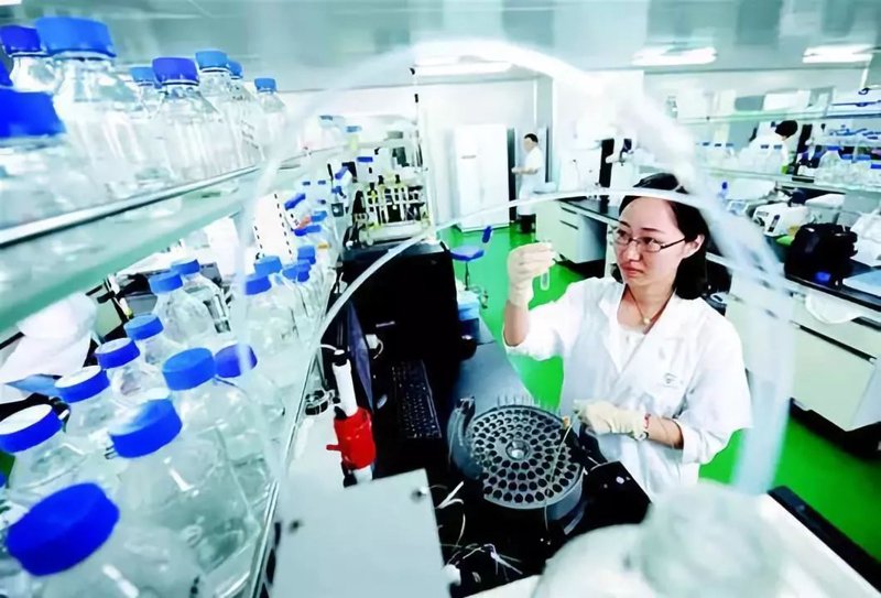 医药研发：探索未知的科学之旅