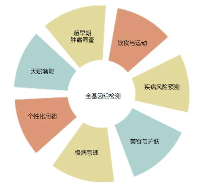 医药研发：探索生命科学的奥秘
